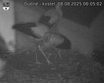 Capi_Dubne_20250808_000502.jpg