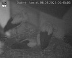 Capi_Dubne_20250808_004503.jpg