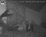 Capi_Dubne_20250808_005502.jpg