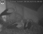 Capi_Dubne_20250808_010002.jpg
