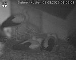 Capi_Dubne_20250808_010503.jpg