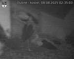 Capi_Dubne_20250808_023503.jpg