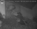 Capi_Dubne_20250808_032002.jpg