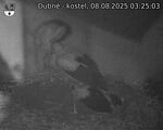 Capi_Dubne_20250808_032503.jpg