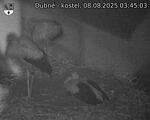 Capi_Dubne_20250808_034503.jpg