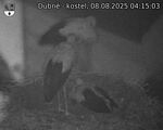Capi_Dubne_20250808_041503.jpg