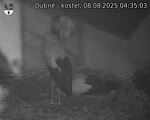 Capi_Dubne_20250808_043503.jpg