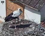 Capi_Dubne_20250808_124003.jpg