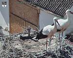 Capi_Dubne_20250808_155003.jpg