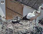 Capi_Dubne_20250808_155503.jpg