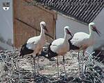 Capi_Dubne_20250808_162003.jpg