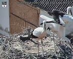 Capi_Dubne_20250808_164003.jpg