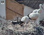 Capi_Dubne_20250808_164503.jpg