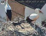 Capi_Dubne_20250808_173002.jpg