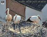 Capi_Dubne_20250808_190003.jpg