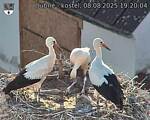 Capi_Dubne_20250808_192004.jpg