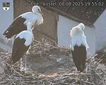 Capi_Dubne_20250808_195502.jpg