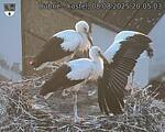 Capi_Dubne_20250808_200503.jpg