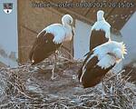 Capi_Dubne_20250808_201505.jpg