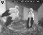 Capi_Dubne_20250808_210003.jpg