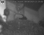 Capi_Dubne_20250808_212502.jpg