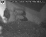 Capi_Dubne_20250808_213002.jpg