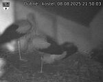 Capi_Dubne_20250808_215003.jpg