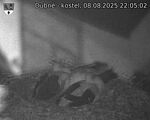 Capi_Dubne_20250808_220502.jpg