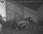 Capi_Dubne_20250808_221502.jpg