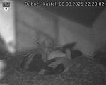 Capi_Dubne_20250808_222002.jpg