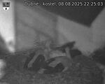 Capi_Dubne_20250808_222503.jpg