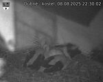 Capi_Dubne_20250808_223002.jpg