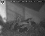 Capi_Dubne_20250808_224002.jpg