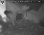 Capi_Dubne_20250808_225003.jpg