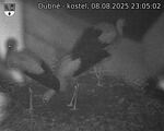 Capi_Dubne_20250808_230502.jpg