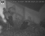 Capi_Dubne_20250808_231003.jpg
