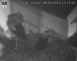 Capi_Dubne_20250808_231502.jpg