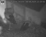 Capi_Dubne_20250808_232502.jpg