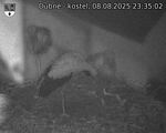 Capi_Dubne_20250808_233502.jpg