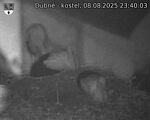 Capi_Dubne_20250808_234003.jpg