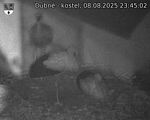 Capi_Dubne_20250808_234502.jpg
