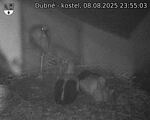 Capi_Dubne_20250808_235503.jpg