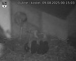 Capi_Dubne_20250809_001503.jpg