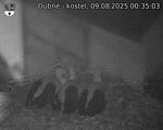 Capi_Dubne_20250809_003503.jpg