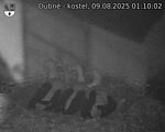 Capi_Dubne_20250809_011002.jpg