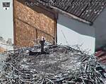 Capi_Dubne_20250809_135004.jpg