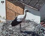 Capi_Dubne_20250809_140003.jpg