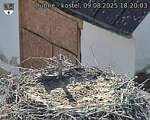 Capi_Dubne_20250809_182003.jpg