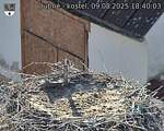 Capi_Dubne_20250809_184003.jpg