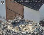 Capi_Dubne_20250809_184503.jpg